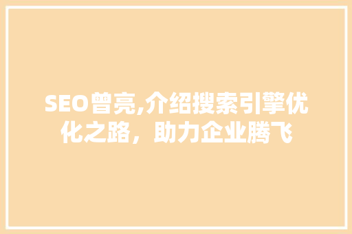 SEO曾亮,介绍搜索引擎优化之路，助力企业腾飞