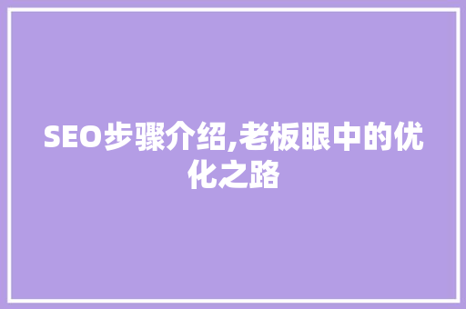 SEO步骤介绍,老板眼中的优化之路