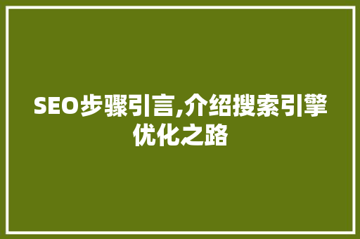 SEO步骤引言,介绍搜索引擎优化之路