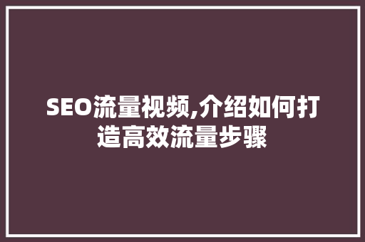 SEO流量视频,介绍如何打造高效流量步骤