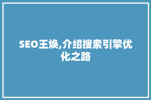 SEO王焕,介绍搜索引擎优化之路