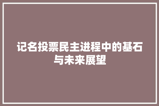 记名投票民主进程中的基石与未来展望
