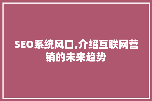 SEO系统风口,介绍互联网营销的未来趋势