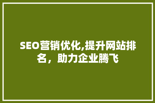 SEO营销优化,提升网站排名，助力企业腾飞