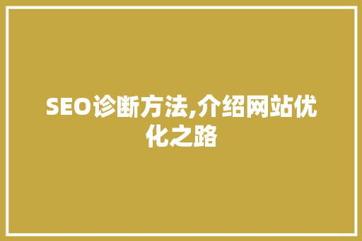 SEO诊断方法,介绍网站优化之路