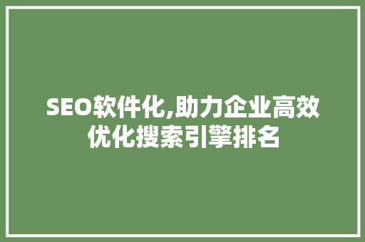 SEO软件化,助力企业高效优化搜索引擎排名