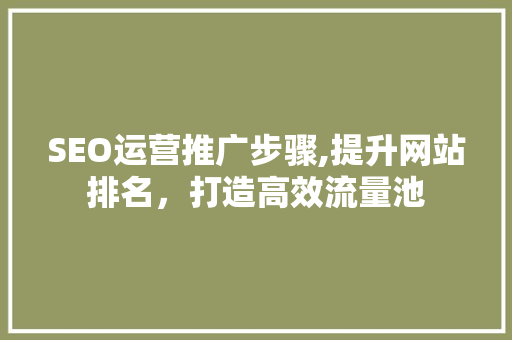 SEO运营推广步骤,提升网站排名，打造高效流量池