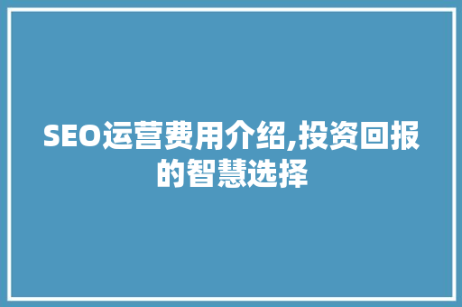 SEO运营费用介绍,投资回报的智慧选择
