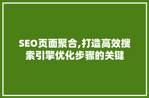 SEO页面聚合,打造高效搜索引擎优化步骤的关键