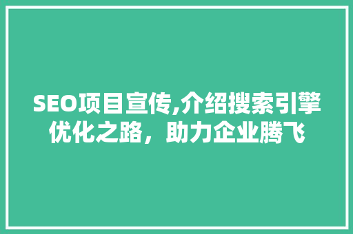 SEO项目宣传,介绍搜索引擎优化之路，助力企业腾飞
