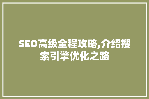 SEO高级全程攻略,介绍搜索引擎优化之路