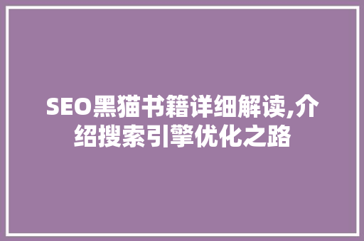 SEO黑猫书籍详细解读,介绍搜索引擎优化之路