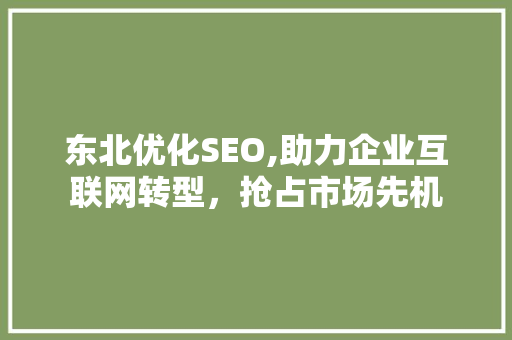 东北优化SEO,助力企业互联网转型，抢占市场先机