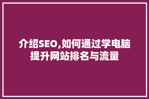 介绍SEO,如何通过学电脑提升网站排名与流量