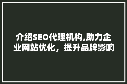 介绍SEO代理机构,助力企业网站优化，提升品牌影响力