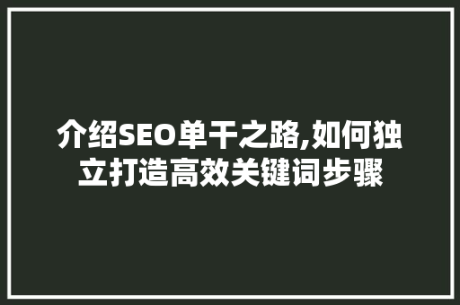 介绍SEO单干之路,如何独立打造高效关键词步骤
