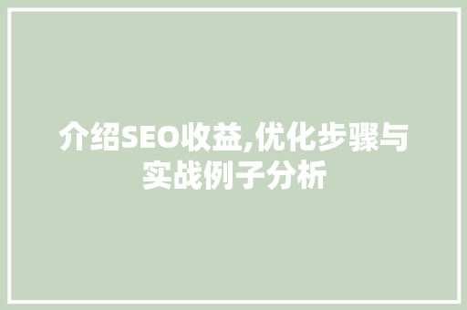 介绍SEO收益,优化步骤与实战例子分析