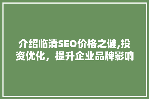 介绍临清SEO价格之谜,投资优化，提升企业品牌影响力