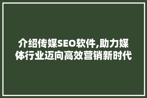 介绍传媒SEO软件,助力媒体行业迈向高效营销新时代