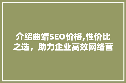 介绍曲靖SEO价格,性价比之选，助力企业高效网络营销
