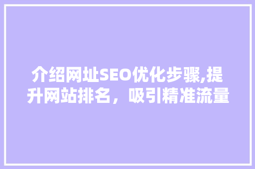 介绍网址SEO优化步骤,提升网站排名，吸引精准流量