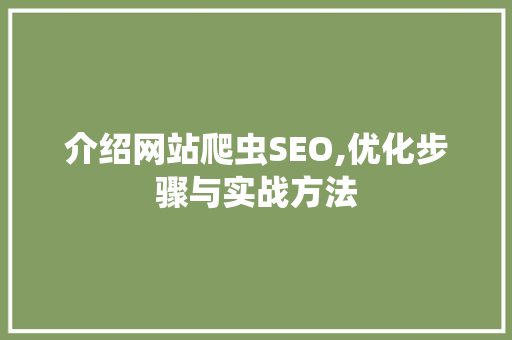 介绍网站爬虫SEO,优化步骤与实战方法