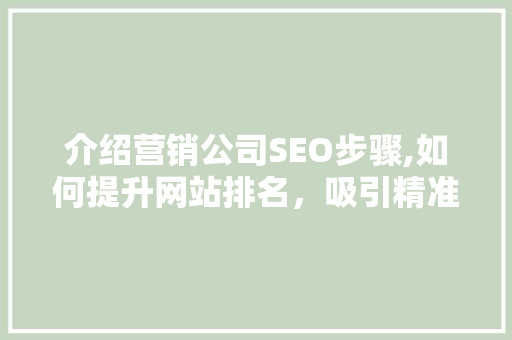 介绍营销公司SEO步骤,如何提升网站排名，吸引精准流量