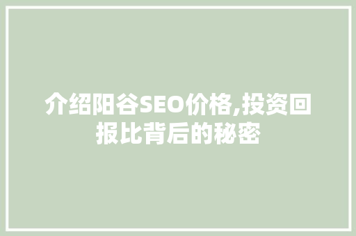介绍阳谷SEO价格,投资回报比背后的秘密