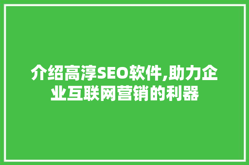 介绍高淳SEO软件,助力企业互联网营销的利器