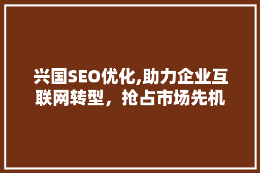 兴国SEO优化,助力企业互联网转型，抢占市场先机