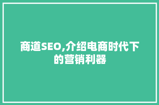 商道SEO,介绍电商时代下的营销利器