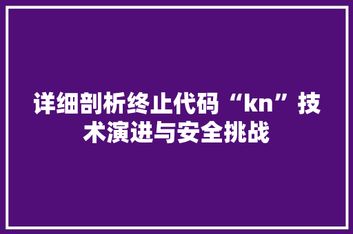 详细剖析终止代码“kn”技术演进与安全挑战
