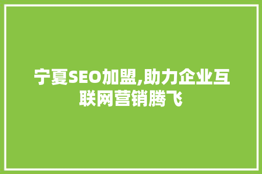 宁夏SEO加盟,助力企业互联网营销腾飞