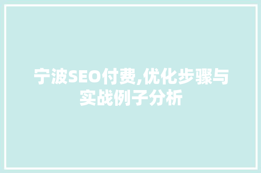 宁波SEO付费,优化步骤与实战例子分析