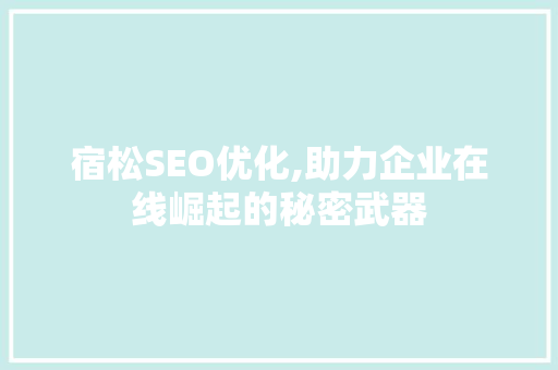 宿松SEO优化,助力企业在线崛起的秘密武器