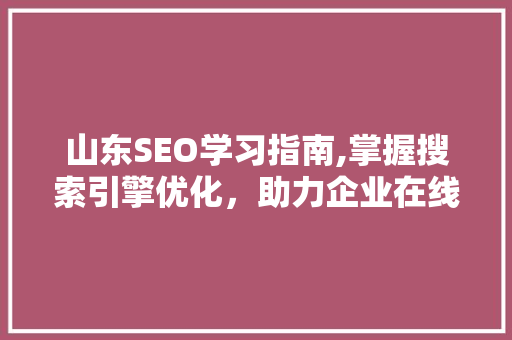山东SEO学习指南,掌握搜索引擎优化，助力企业在线发展