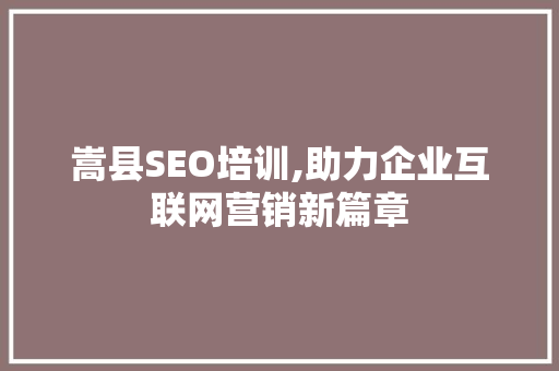 嵩县SEO培训,助力企业互联网营销新篇章