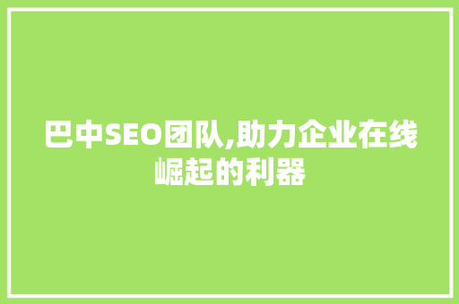 巴中SEO团队,助力企业在线崛起的利器