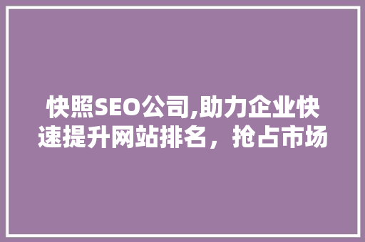 快照SEO公司,助力企业快速提升网站排名，抢占市场先机