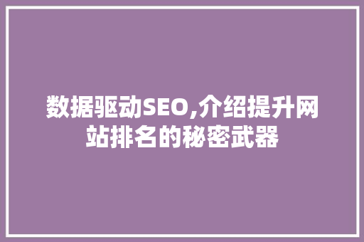 数据驱动SEO,介绍提升网站排名的秘密武器