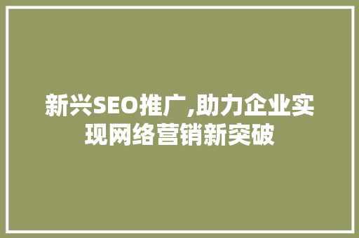 新兴SEO推广,助力企业实现网络营销新突破