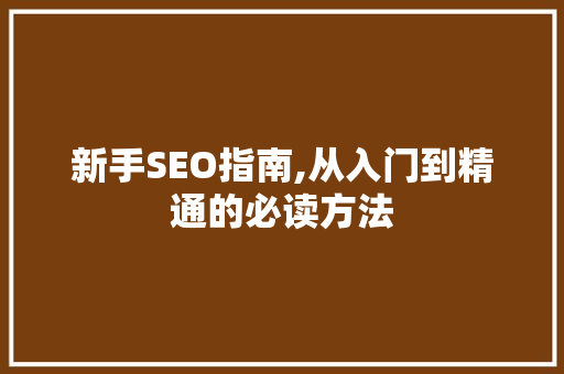 新手SEO指南,从入门到精通的必读方法