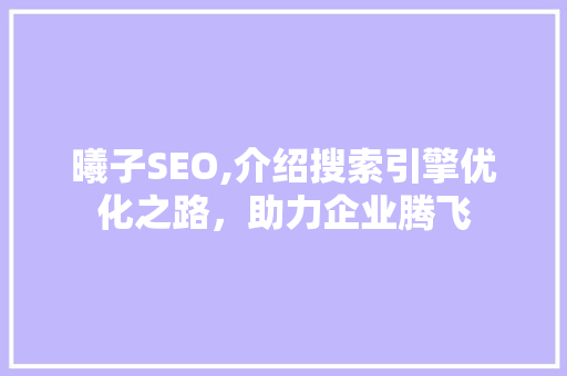 曦子SEO,介绍搜索引擎优化之路，助力企业腾飞