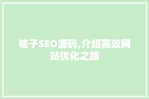 桔子SEO源码,介绍高效网站优化之路