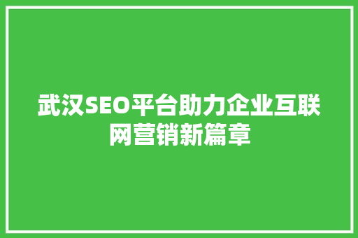 武汉SEO平台助力企业互联网营销新篇章
