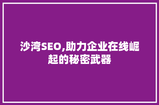 沙湾SEO,助力企业在线崛起的秘密武器
