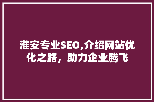 淮安专业SEO,介绍网站优化之路，助力企业腾飞