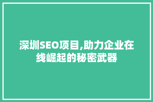 深圳SEO项目,助力企业在线崛起的秘密武器
