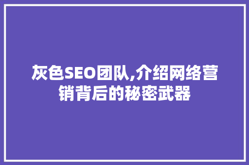 灰色SEO团队,介绍网络营销背后的秘密武器