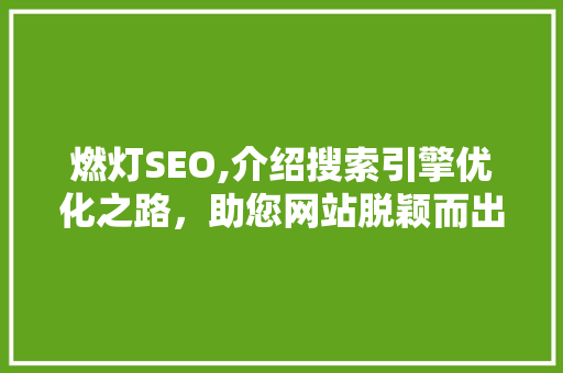 燃灯SEO,介绍搜索引擎优化之路，助您网站脱颖而出